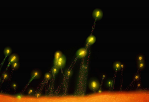 如何保持長期、持續(xù)、穩(wěn)定的努力